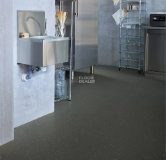 Forbo SafeStep R11 174282 dragon фото 2 | FLOORDEALER